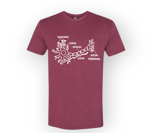Labeled Neuron T-Shirt – Neuroscience Science Shirt