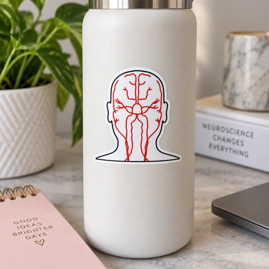 Brain Blood Supply Sticker – Neuroscience Anatomy Sticker