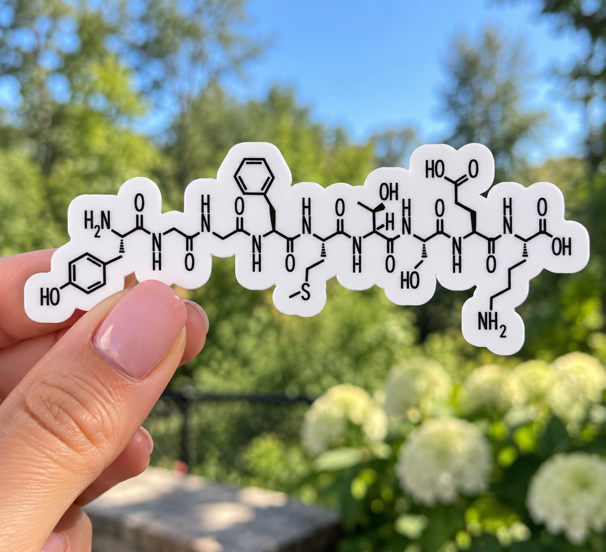 Endorphin Molecule Sticker – Neuroscience Chemical Structure