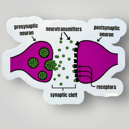 Synapse Sticker