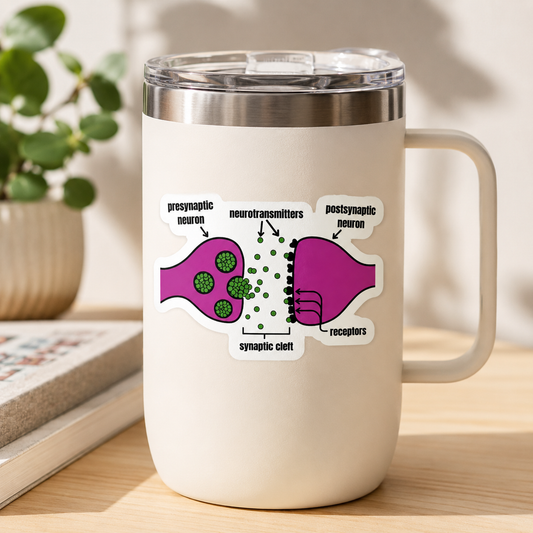 Synapse Diagram Sticker – Neuroscience & Neurotransmitter Sticker