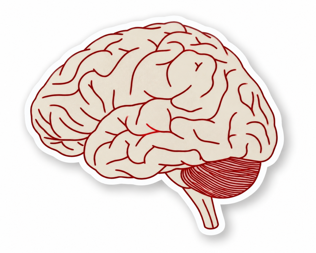 Brain Sticker – Neuroscience Brain Art