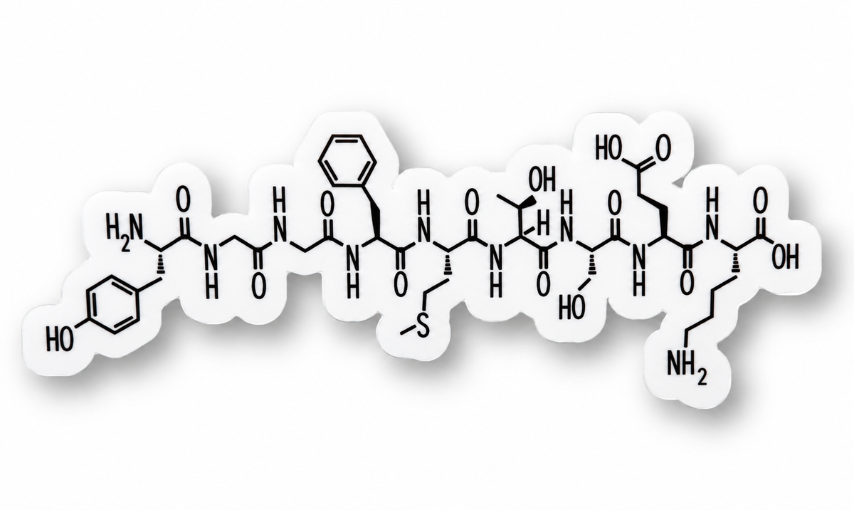 Endorphin Molecule Sticker – Neuroscience Chemical Structure