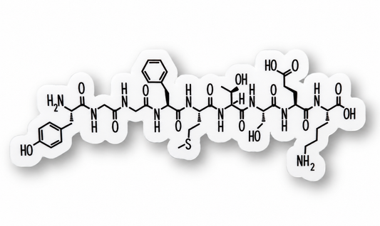Endorphin Molecule Sticker – Neuroscience Chemical Structure