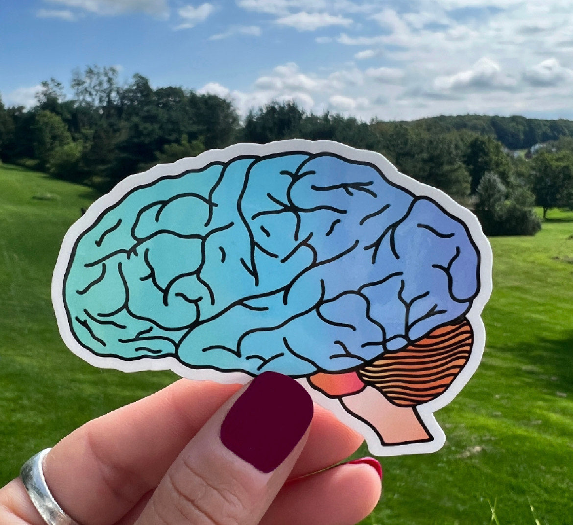 Brain Sign Sticker Colorful brain sticker – NeuroChallenged