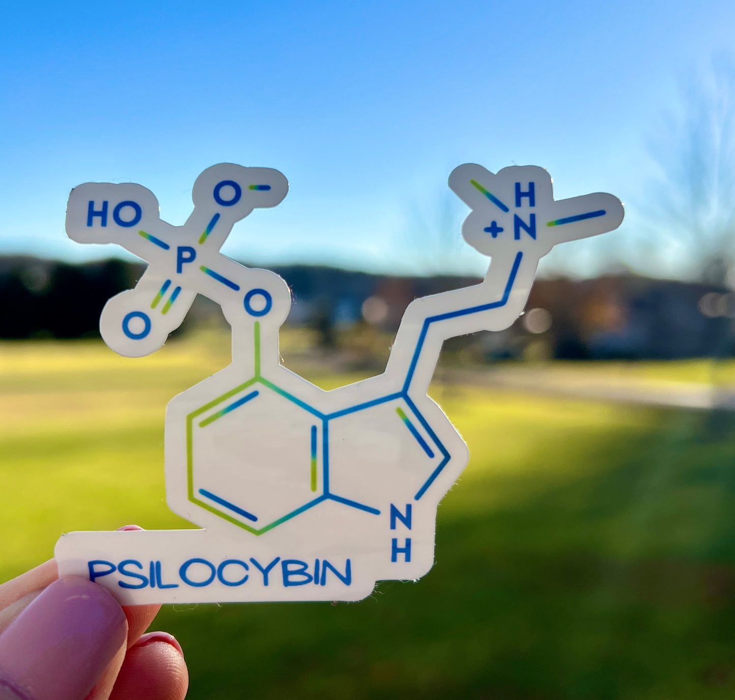 Shrooms chemical Structure Sticker