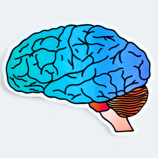 Colorful brain sticker