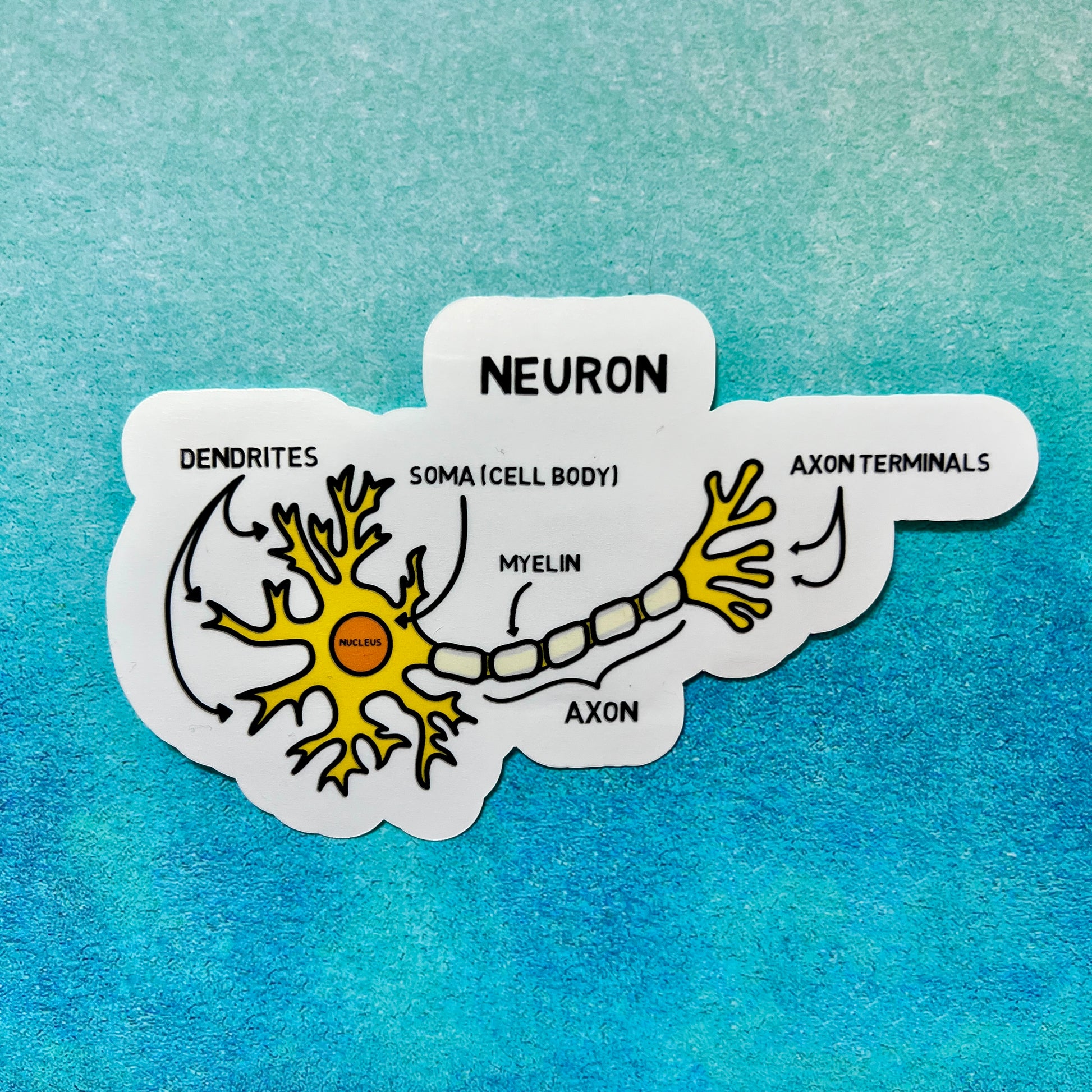 Labeled neuron sticker – NeuroChallenged