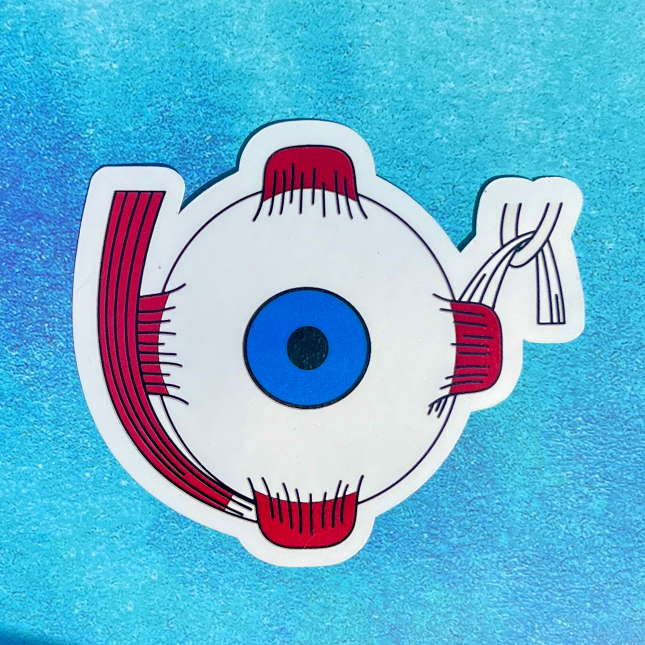 Eye muscle sticker